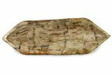 Canoe-Shaped Decorative Petrified Wood Bowl #350748-3